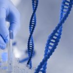 Nutrigenetika: Personalizirana Ishrana za slabeenje I prevencija od bolesti